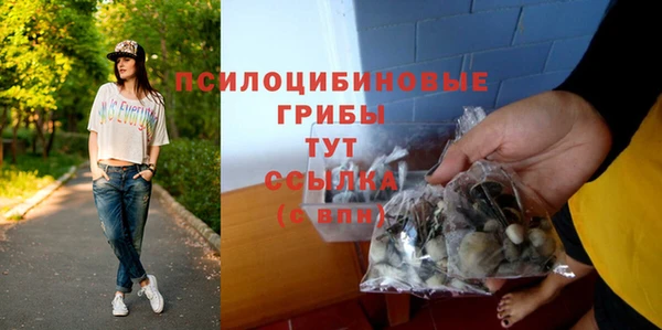 скорость Баксан